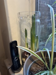 Poncetastic Christmas 2025