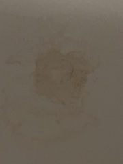 Ceiling water mark! Help