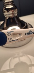 Clear Blue test results