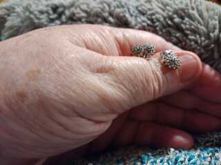 What did you get for Christmas?