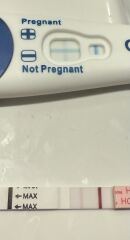Clearblue digital says Not Pregnant
