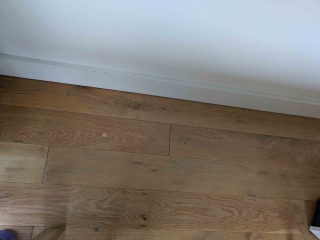 Damp sewer smell from floorboards