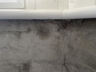 Damp! Paging @pigletjohn (with photos)