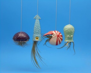 Anyone else like weird houseplants?  Esp stuff in jars! Terrarium, water plants and moss!