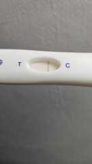 Implantation dip? And vvvvvf line?