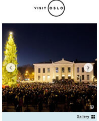 Trafalgar Square Christmas tree embarrassment