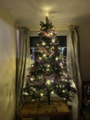 Have we had a Christmas tree thread this year?