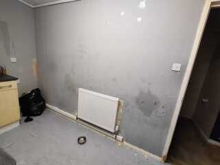 Need decorating advice
