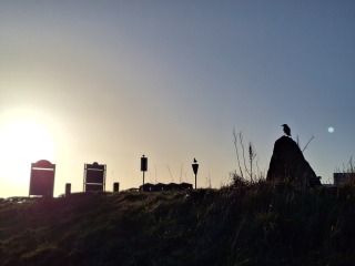 The Nigel Slater Christmas Chronicles readalong 2025 - Part 2