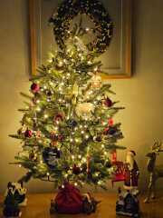 Have we had a Christmas tree thread this year?