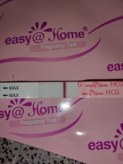 Miscarriage last month now Faint pregnancy test