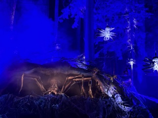 Come and tell us your dull and unexciting news 34: Calmly through the day