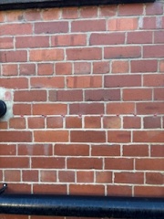 How can I get the right advice and solution re damp and mould?