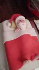 Christmas cakes! Come and show me yours.
