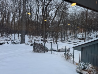 Come and tell us your dull and unexciting news 34: Calmly through the day