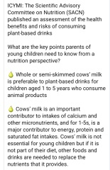 Can I use milk to make up formula?