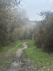 The Nigel Slater Christmas Chronicles readalong 2025 - Part 2