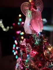 The Bluestocking: Next stop, Christmas!