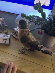 50 days to go and counting...time to get organised as the big man is on his way soon! Countdown to Christmas 2025, thread 3