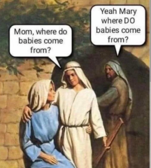 I bet Mary had to source her own Donkey for the trip to Bethlehem…..