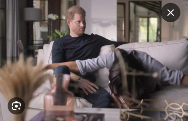 Duke of Sussex court case: key witness statement false