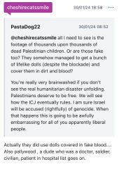 To think UN should now be in Gaza as a peacekeeping force