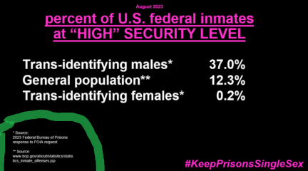Has anyone left their spouse over GC views / pro-Islam stance