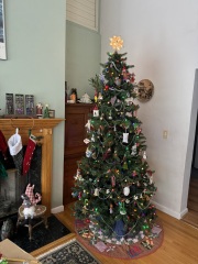 Come and tell us your dull and unexciting news 34: Calmly through the day