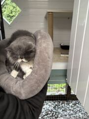 Paws crossed for Penelope please