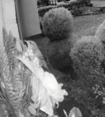 The Nigel Slater Christmas Chronicles readalong 2025 - Part 2