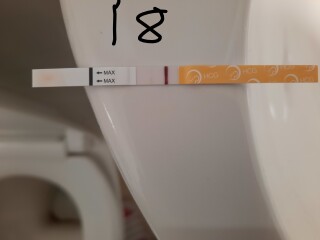 Doctor says these pregnancy tests are negative