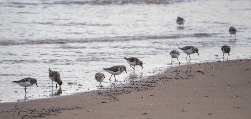 The Bluestocking: Next stop, Christmas!