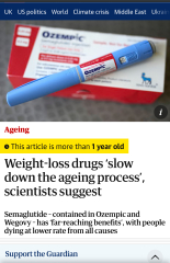 All my historically fat friends have gone thin this year