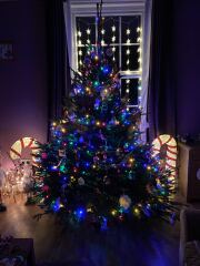 Have we had a Christmas tree thread this year?