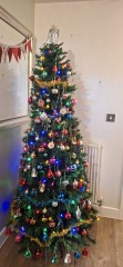 Have we had a Christmas tree thread this year?