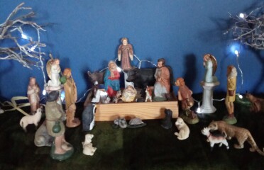 The Bluestocking Boxing Day sale: 1 gerbil for the price of 2