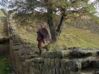 The Sycamore Gap Documentary on Ch4