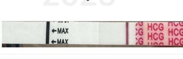 Thoughts? Experiences? Faints lines