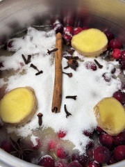 Come and tell us your dull and unexciting news 34: Calmly through the day