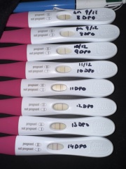 14dpo- quite dark