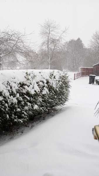 The Nigel Slater Christmas Chronicles Readalong 2025 - Part 3