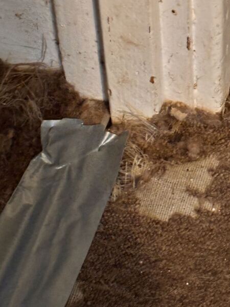 House inspection.. should I worry?