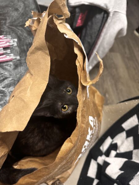 Roka Lucky Dip is live