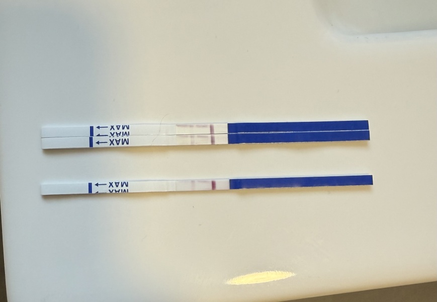 Is this dye run test positive?