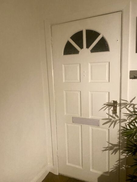 The Bluestocking Boxing Day sale: 1 gerbil for the price of 2