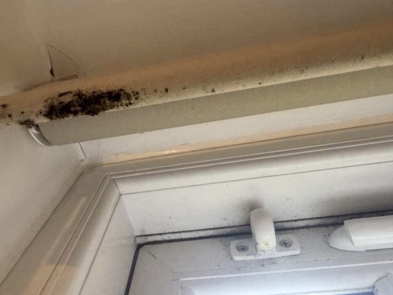 Ongoing battle with landlord (well, estate agent) re washing