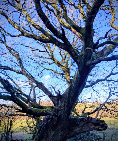 Any Witches Here? Part 21