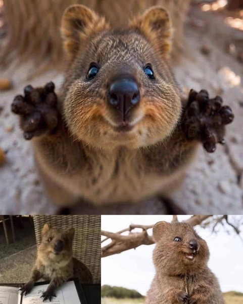 The Bluestocking - your local women's pub, warm, friendly, and not at all unusual in any way.