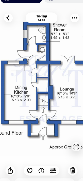 Kitchen extension help/suggestion for novice