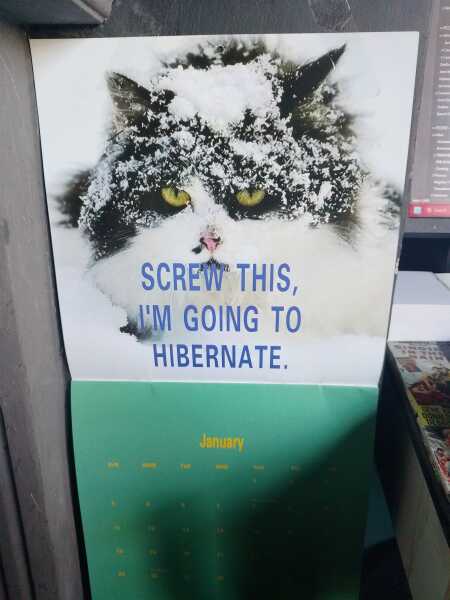 The Excellent Cats welcome the new year by planning an expedition in search of 'She who must not be named'
